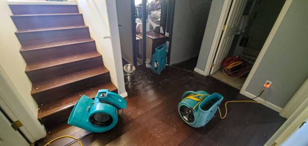  Sulphur, LA Water damage restoration Pros