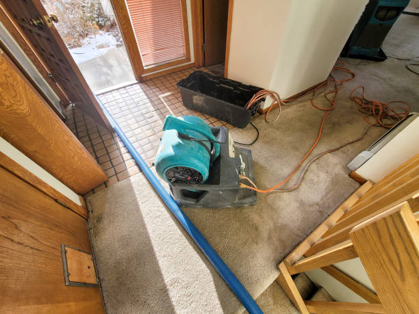 Best Water damage repair service  in Sulphur, LA