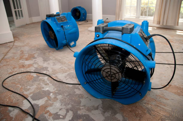 Best Local water damage restoration  in Sulphur, LA