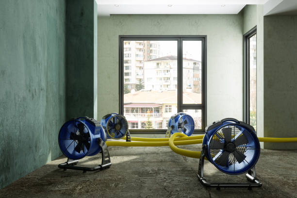 Best Water damage restoration near me  in Sulphur, LA